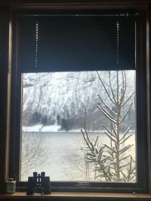 Apartment With Lake View In Jolster Ardal  Luaran gambar