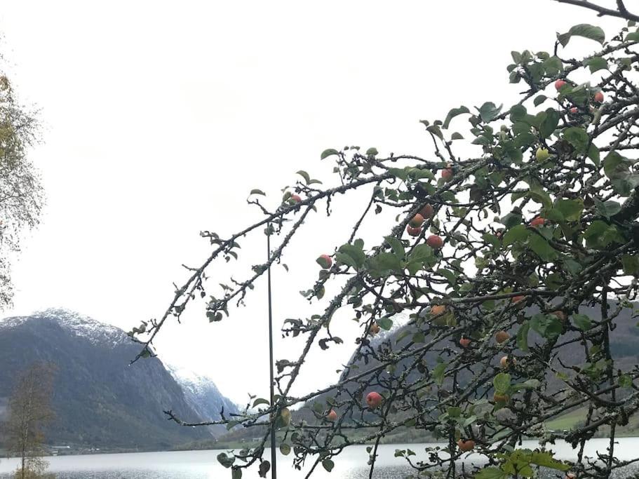 Apartment With Lake View In Jolster Ardal  Luaran gambar